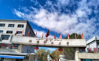 新疆信息技术专修学院