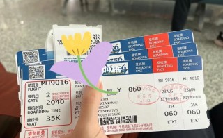 新疆到西安机票多少钱？怎么查？