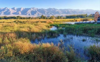 新疆博尔塔拉蒙古自治有何独特魅力？
