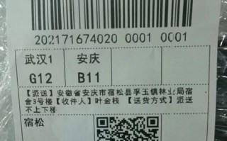 新疆中通快递网点怎么查？