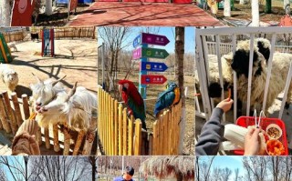 新疆动物园具体位置在哪儿？