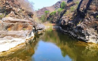 新疆石河子附近哪里能钓鱼？