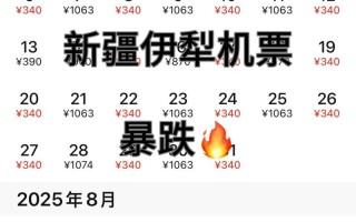 郑州飞新疆机票价格多少？