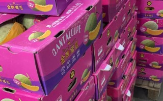 厦门水果批发市场在哪？价格如何？