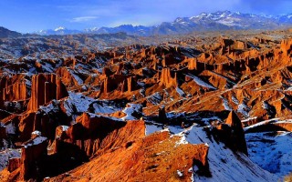 新疆国家级自然保护区有何独特生态价值？