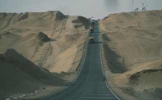 新疆500公里无人区，藏着怎样的生命奇迹？