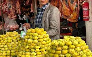 新疆最出名的特产有哪些？