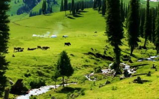 新疆伊犁那拉提风景有多惊艳？