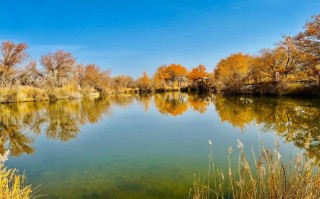 韩国人游新疆视频里藏着啥？