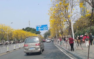 滨江西路20号藏着什么故事？