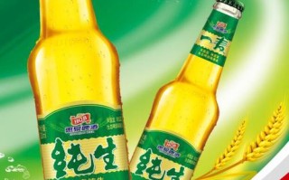 福建维麦啤酒怎么样？