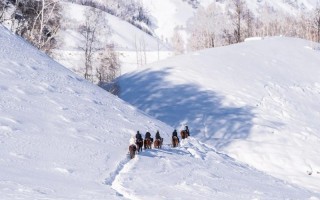 冬天去新疆，该带哪些保暖衣物？