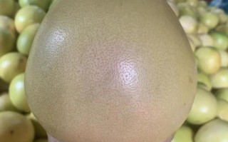 福建有哪些特色水果特产？