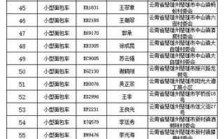 福建道路交通违法怎么查？