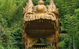 江西宜春周边有哪些必游景点？