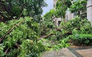 福建泉州今晚有台风吗