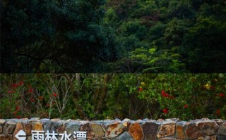 厦门周边有哪些必打卡景点？