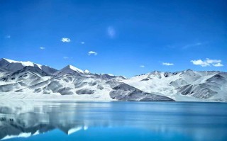 新疆大西部国际旅行社有何独特优势？