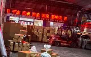 福建博康物流有限公司怎么样？