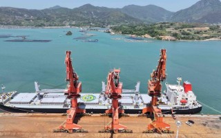 福建德洋海运有限公司是做什么的？