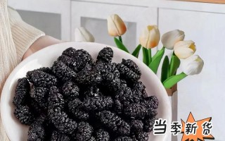 四川新疆桑葚干，哪个更胜一筹？