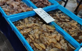 九江哪里能买到新鲜海鲜？