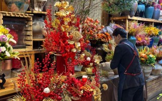 乌鲁木齐鲜花批发哪里好？