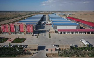 新疆5445运动工厂是做什么的？