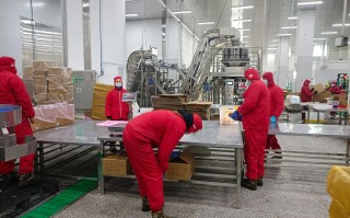 新疆天伊食品有限公司怎么样？