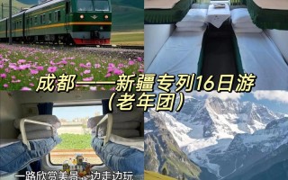 新疆到四川的返程车