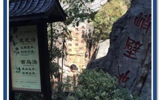 江西明月山温泉度假村有何独特魅力？