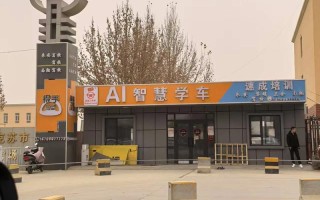 新疆自治区驾校怎么样