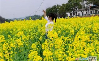 江西九江武宁县船滩镇有何特色？