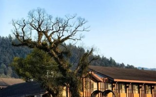 温汤镇为何成长寿村？秘诀何在？