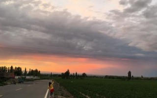 精河县未来天气如何？