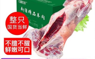 新疆阿勒泰大尾羊价格多少钱一斤？