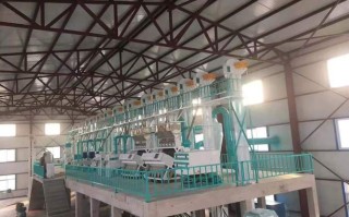 新疆克拉玛依面粉厂有何独特之处？