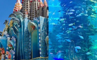 福建海洋世界哪家最值得去？