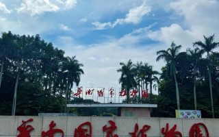 福建省亚热带植物研究所研究什么？