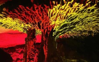 福建龙岩新罗有哪些必游景点？