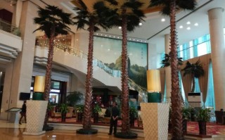 福建福鼎金九龙大酒店有何特色？