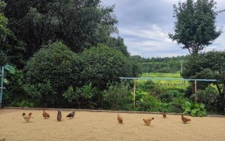 福建安溪三安植物农场有何独特之处？