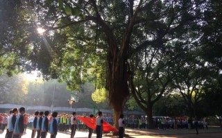 福州第十四中学有何办学特色？