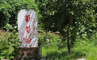 新疆葡萄沟究竟在新疆哪个位置？