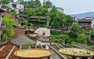 婺源有哪些必打卡旅游景点？