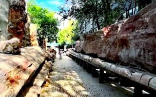 新疆乌鲁木齐野马酒店有何独特之处？