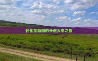 怀化到新疆怎么坐火车