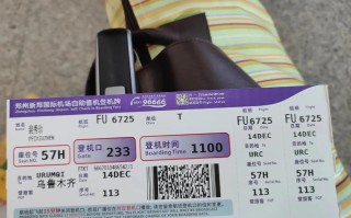 新疆到郑州飞机票多少钱