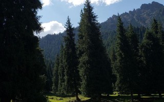 新疆昌吉市有哪些必玩景点？