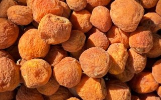 新疆阿拉尔有哪些特色特产？